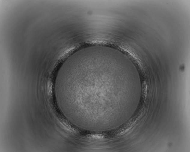 X0000100210692200806061346