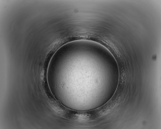 X0000100210693200806061346