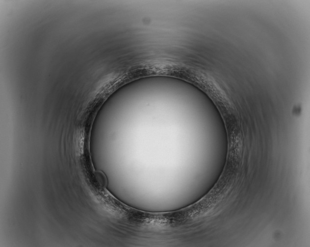 X0000100210694200806061346