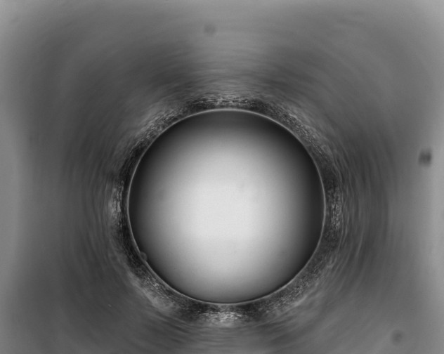 X0000100210695200806061346