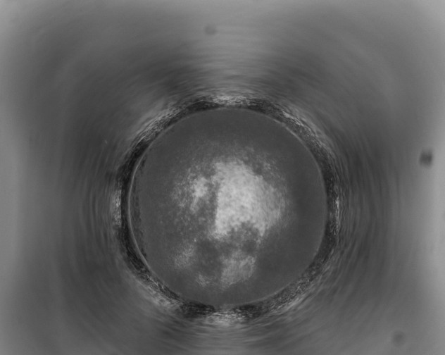 X0000100210696200806061346