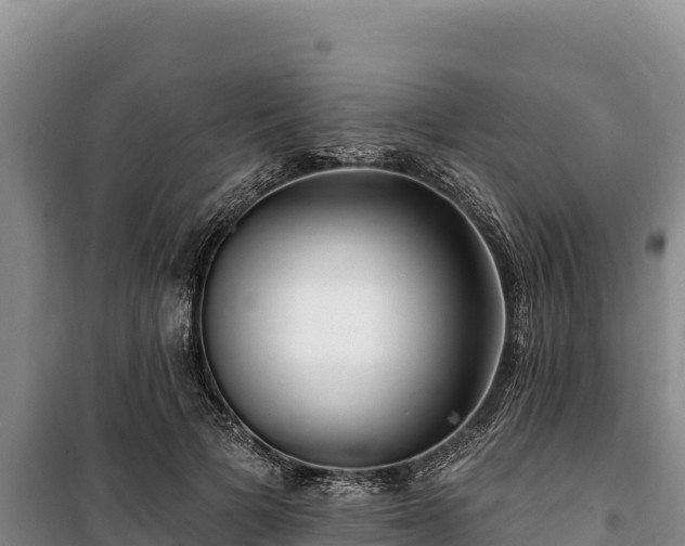 X0000100210697200806061346