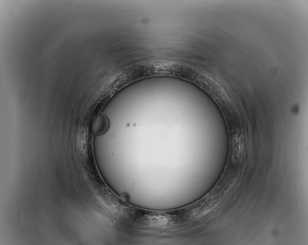 X0000100210698200806061346