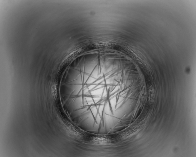 X0000100210699200806061346