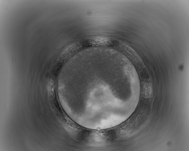 X0000100210701200806061346