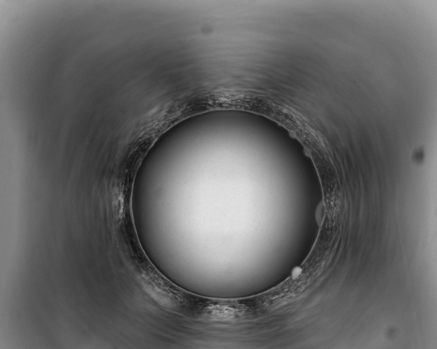 X0000100210703200806061346