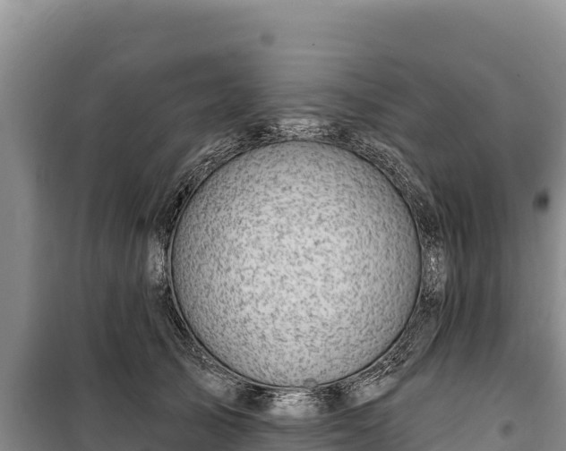 X0000100210705200806061346