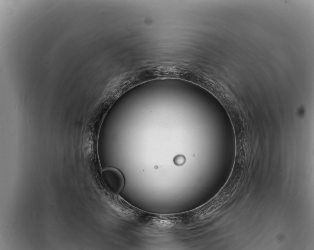 X0000100210706200806061346