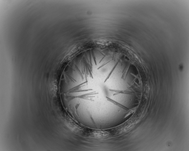 X0000100210707200806061346