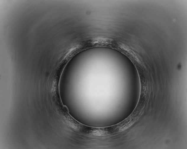 X0000100210708200806061346