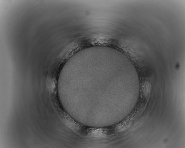 X0000100210709200806061346