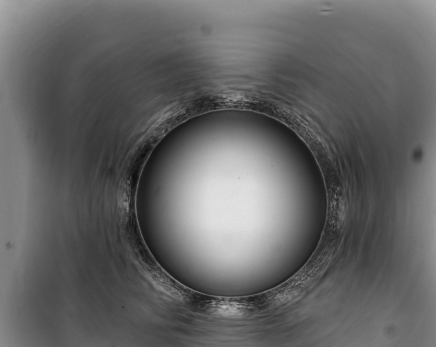 X0000100210710200806061346