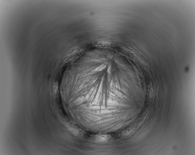 X0000100210711200806061346