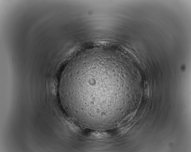 X0000100210712200806061346