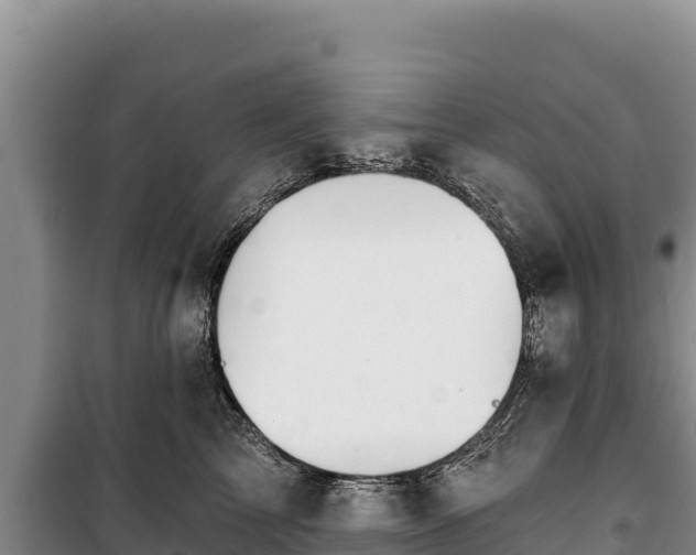 X0000100210713200806061346