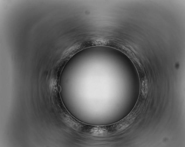 X0000100210714200806061346