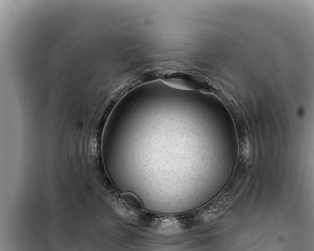 X0000100210715200806061346