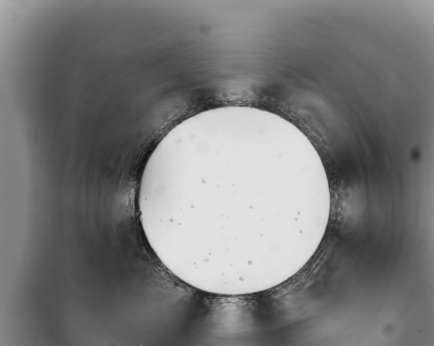 X0000100210717200806061346