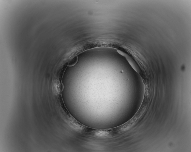 X0000100210718200806061346