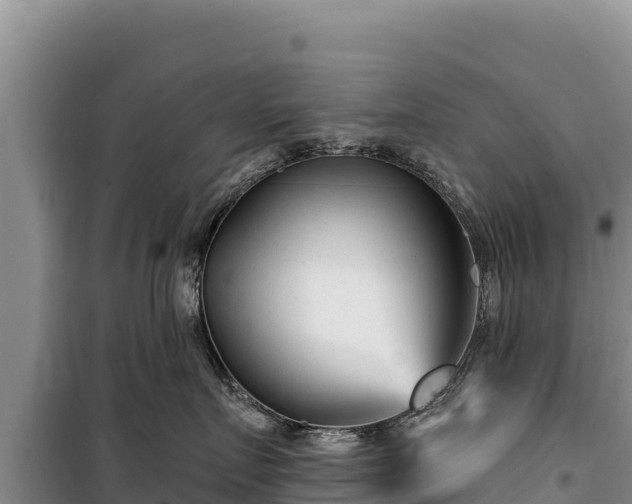 X0000100210719200806061346