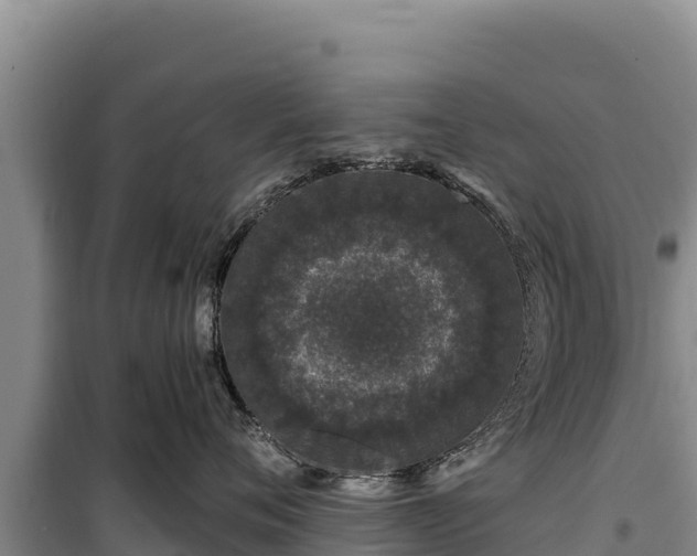 X0000100210720200806061346