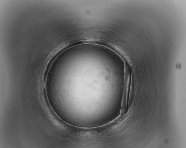 X0000100210721200806061345