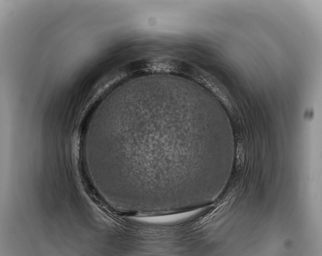 X0000100210722200806061345