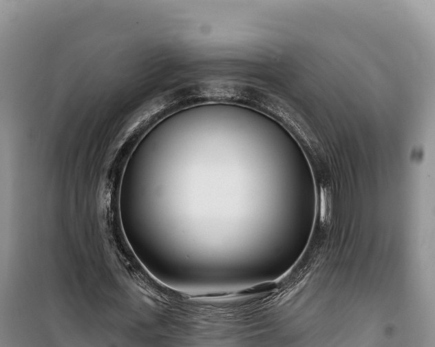 X0000100210723200806061345