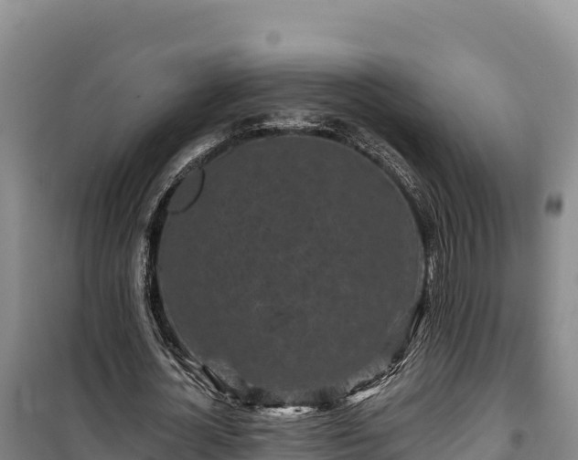 X0000100210724200806061345