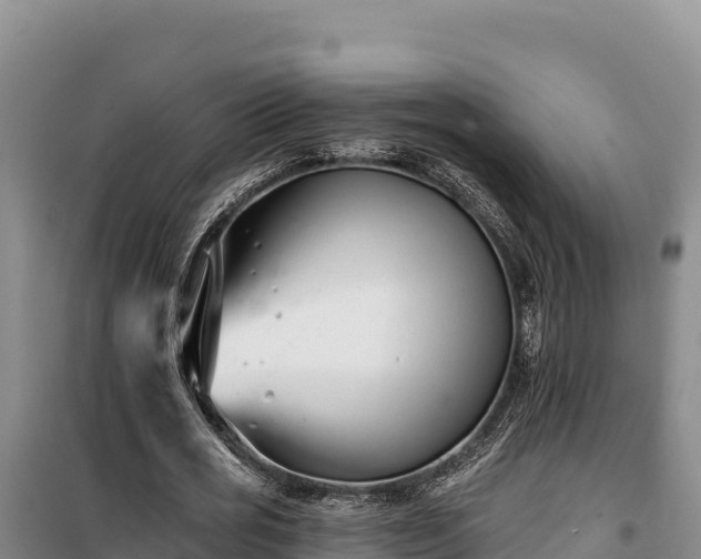 X0000100210725200806061345