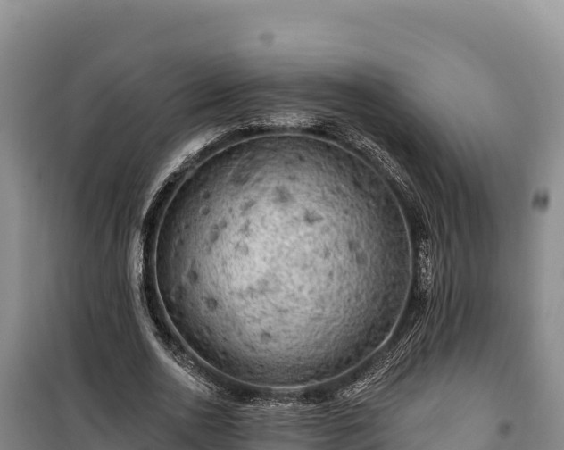 X0000100210726200806061345