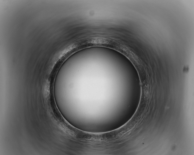 X0000100210727200806061345