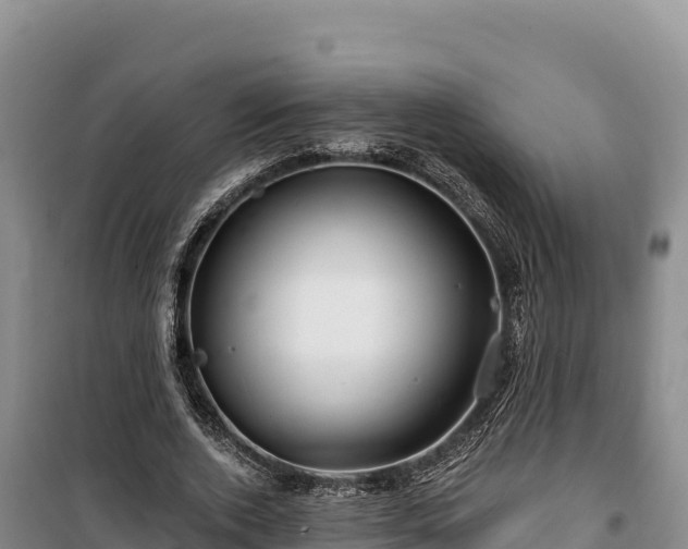 X0000100210728200806061345