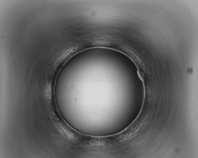 X0000100210729200806061345