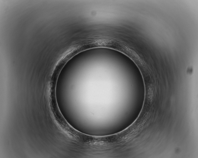 X0000100210730200806061345