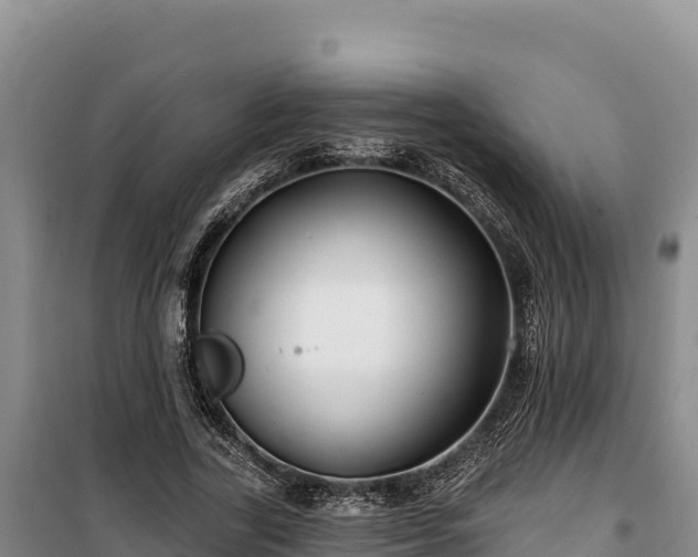 X0000100210731200806061345