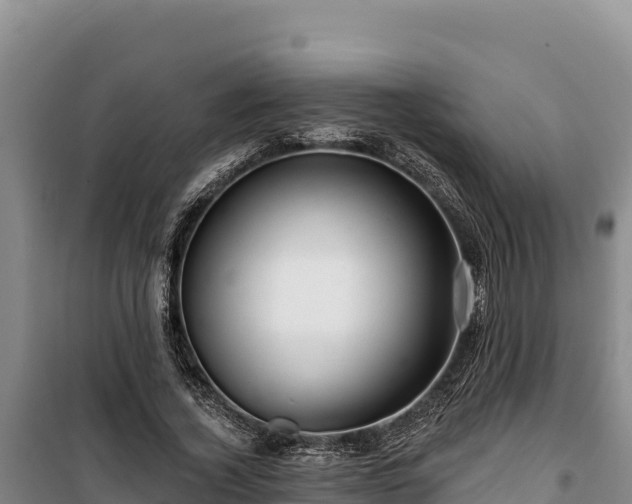 X0000100210732200806061345