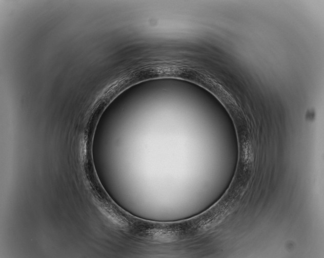 X0000100210733200806061345