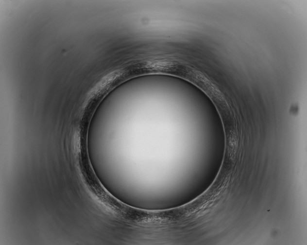 X0000100210734200806061345