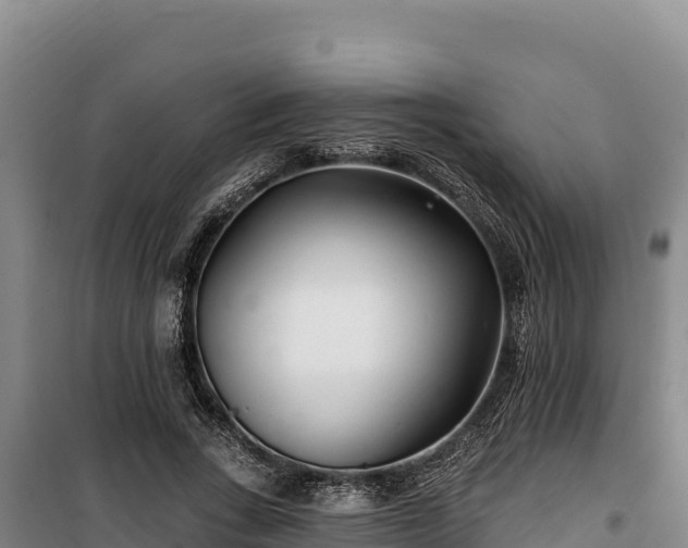 X0000100210735200806061345