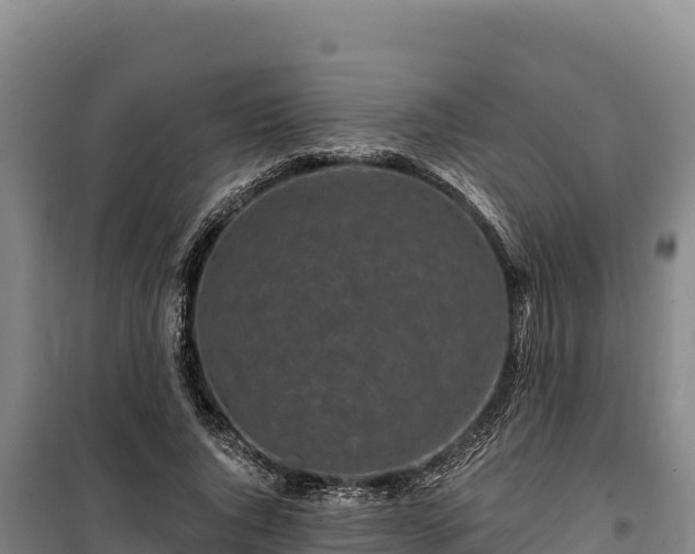 X0000100210736200806061345