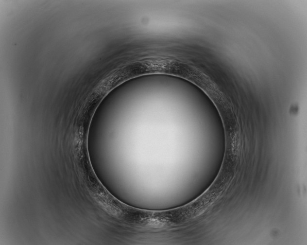 X0000100210737200806061345