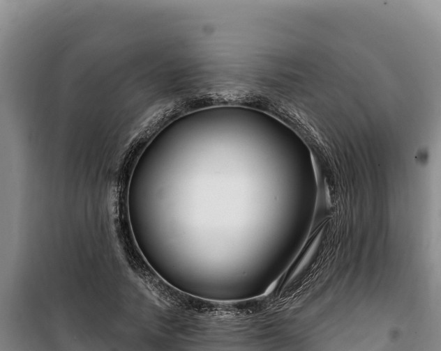 X0000100210738200806061345