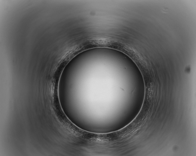 X0000100210739200806061345