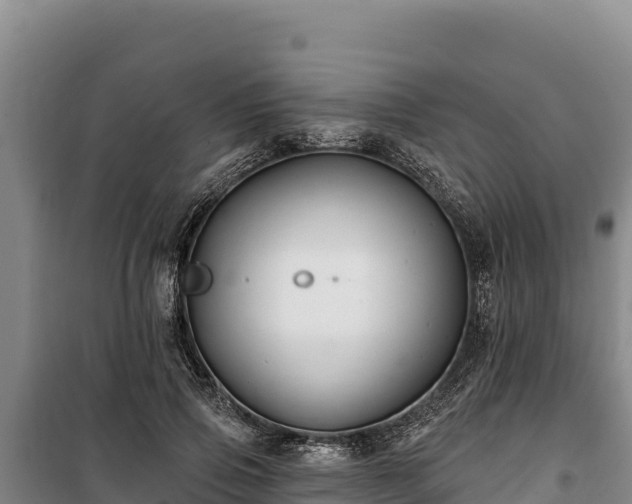 X0000100210741200806061345