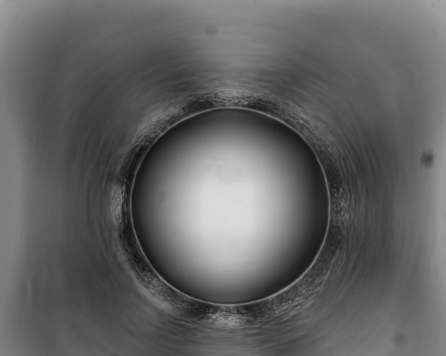 X0000100210742200806061345