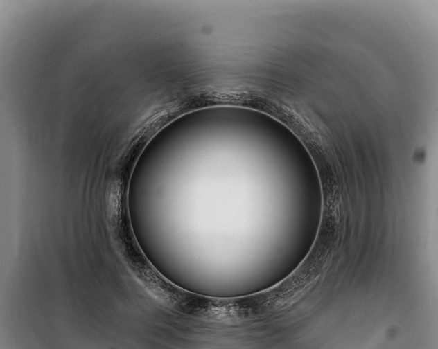 X0000100210744200806061345