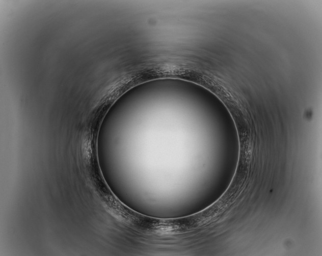 X0000100210746200806061345