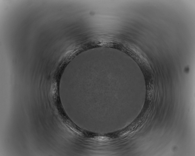 X0000100210748200806061345