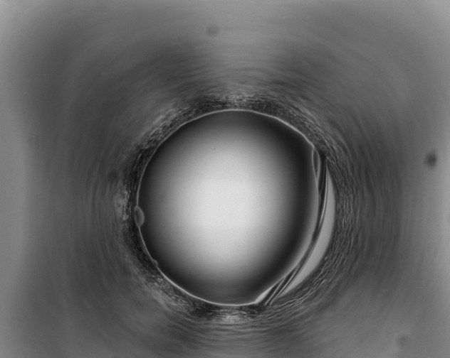 X0000100210750200806061345